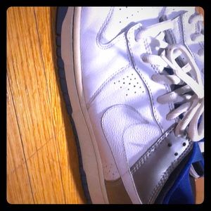 NIKE Dunks (No SB) “Jor-Dunk 7” from 2006!